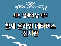 철새의 날 온라인 메타버스