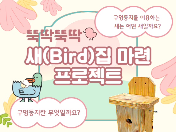 뚝딱뚝딱 새(Bird)집 마련 프로젝트