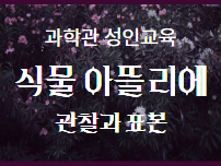 아뜰리에썸네일